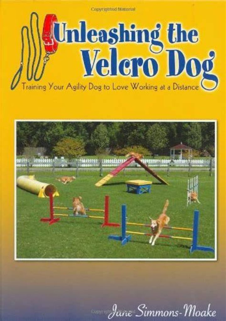 Unleashing the Power of Dogxxxxxx: Your Ultimate Guide to Canine Excellence