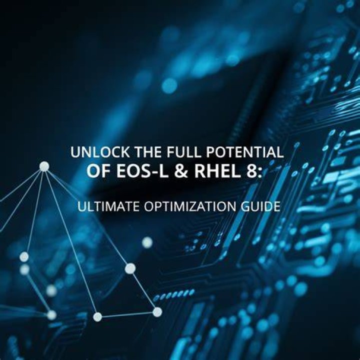 Unlock the Potential of 9xs Biz: Your Ultimate Guide