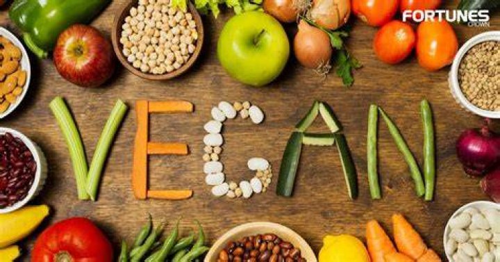 Vegamovessi Revolutionizing the World of Vegan Lifestyle and Beyond