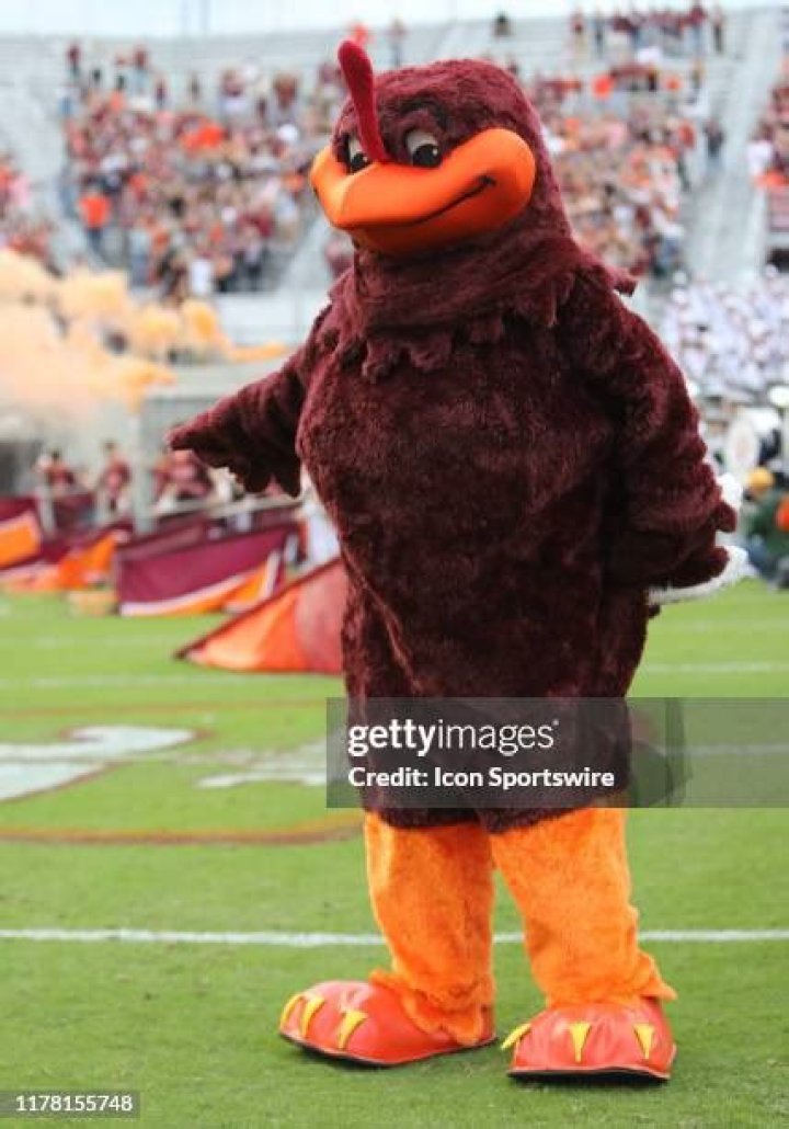 VT Hokie Mascot: The Iconic Spirit of Virginia Tech