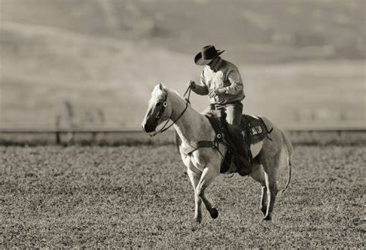 Weapon Used on Horseback: A Comprehensive Guide to Cavalry Arms and Tactics