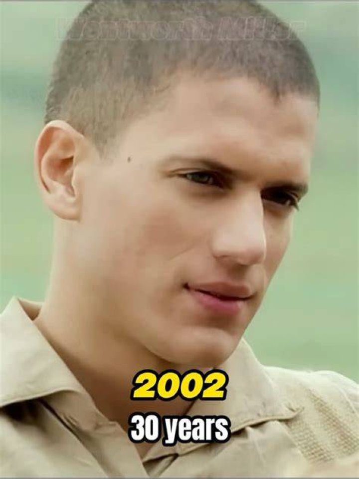 Wentworth Miller: The Man Behind the Iconic Roles