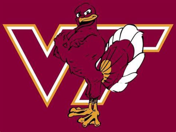What is a Hokie VT Mascot? Discover the Iconic Symbol of Virginia Tech