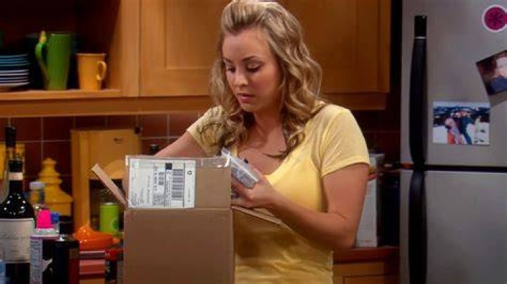 What is Penny's Last Name from The Big Bang Theory? A Comprehensive Guide