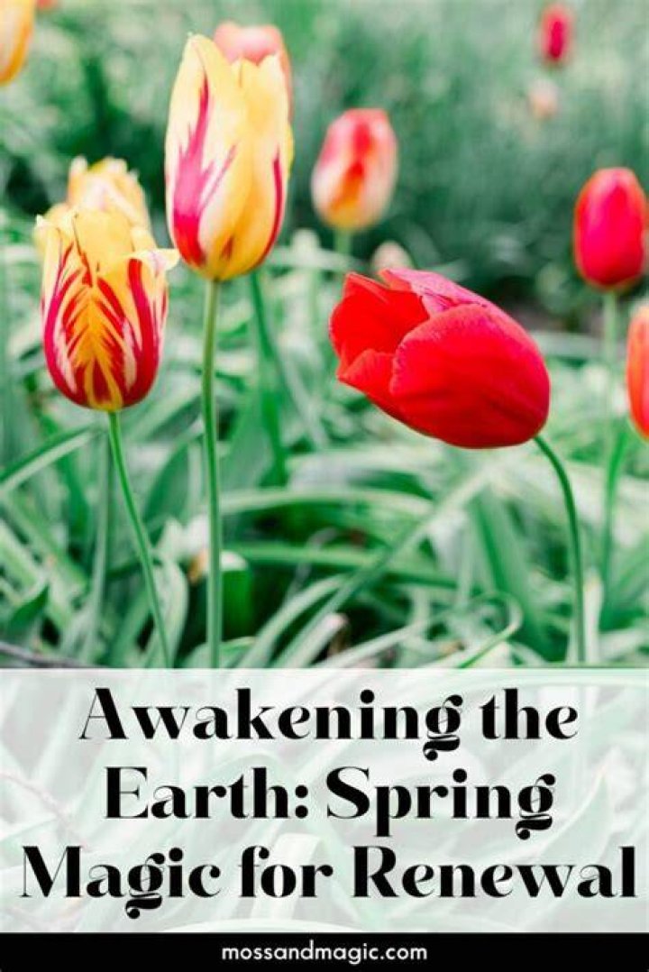 When is Spring 2025? Unveiling the Magic of Renewal