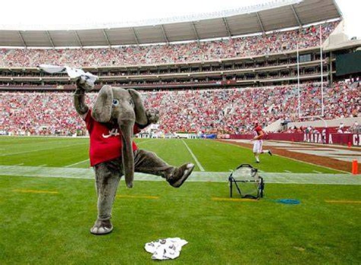Why Does Alabama Have an Elephant for Mascot? Discover the Fascinating Story Behind This Iconic Symbol